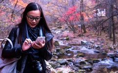 亚洲乱码国产乱码精华